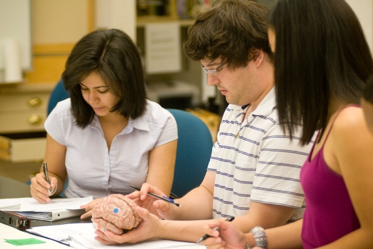 three students study together at a table